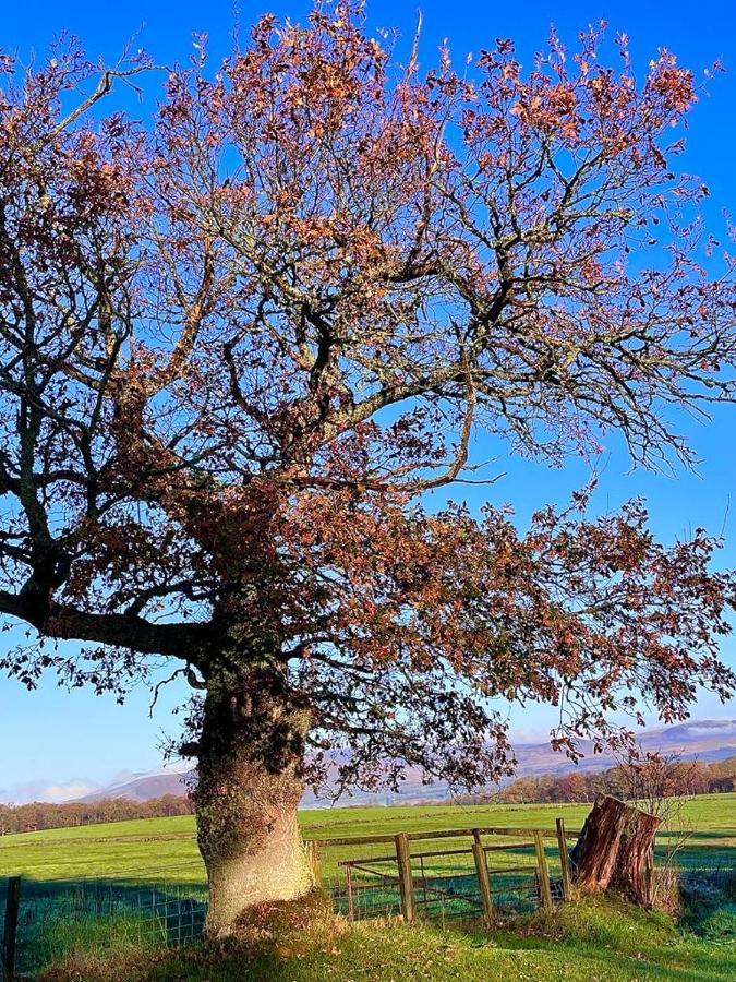 Finn Village - Loch Lomond Sunset Glamping Pod - Private Ofuro Hot Tub * Драймен
