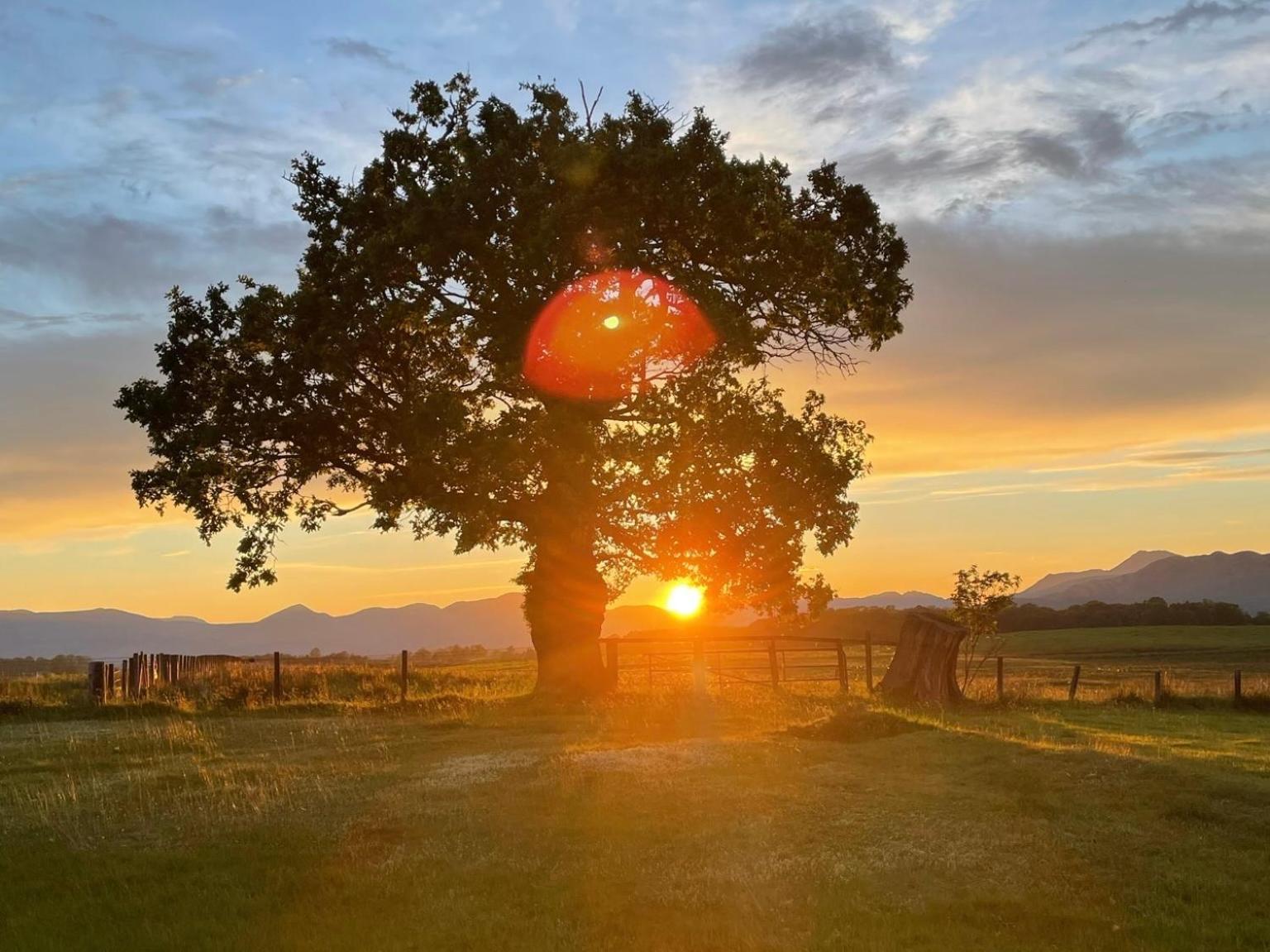 Finn Village - Loch Lomond Sunset Glamping Pod - Private Ofuro Hot Tub Apartment *