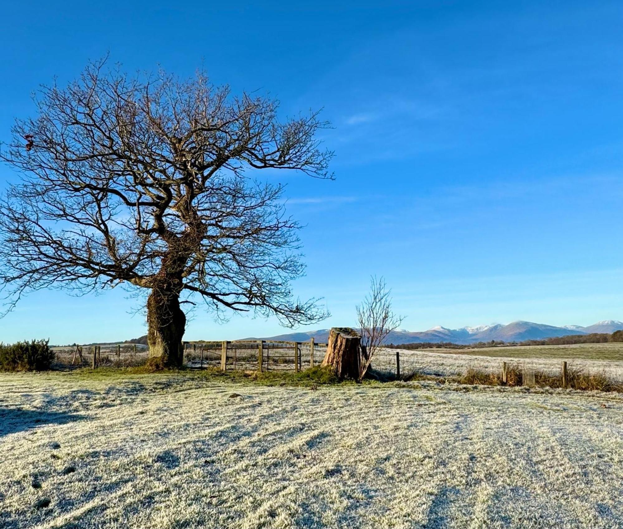 Finn Village - Loch Lomond Sunset Glamping Pod - Private Ofuro Hot Tub Apartment *