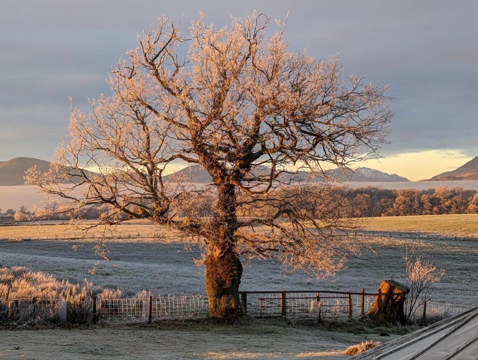 Finn Village - Loch Lomond Sunset Glamping Pod - Private Ofuro Hot Tub * Drymen